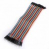 Bali Electro - Jual Kabel Dupont 40 Pin M – F (30 cm) di Denpasar - Bali