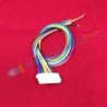 Jual Kabel XH2.54 20cm – 7Pin di Denpasar Bali