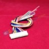 Jual Kabel XH2.54 20cm – 6Pin di Denpasar Bali