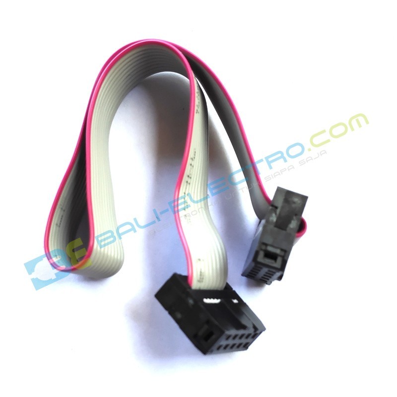 Jual Kabel JTAG 20cm Gray - FC-10P di Denpasar Bali