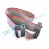 Jual Kabel JTAG 20cm Gray - FC-20P  di Denpasar Bali