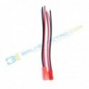Jual JST-2P Male + Female 10cm di Denpasar Bali