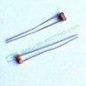 Jual LDR 5mm – 5549 di Denpasar Bali