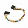 Bali Electro - Jual Kabel Dupont 8 Pin F – F (20 cm) di Denpasar - Bali
